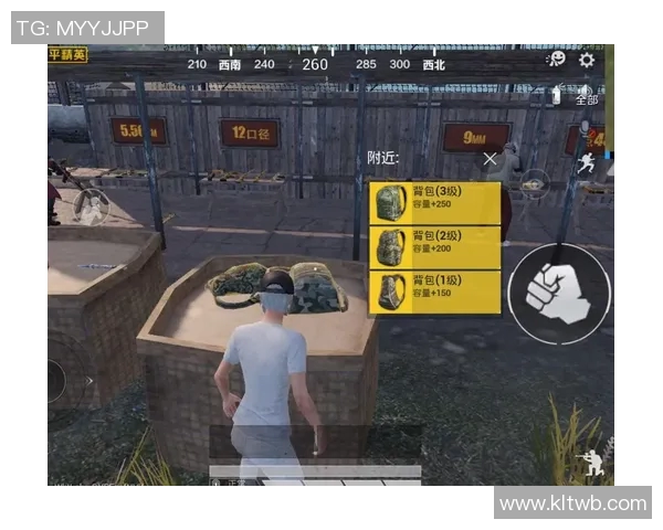 和平精英战术解析V5控制体系的全面解读与实战应用技巧