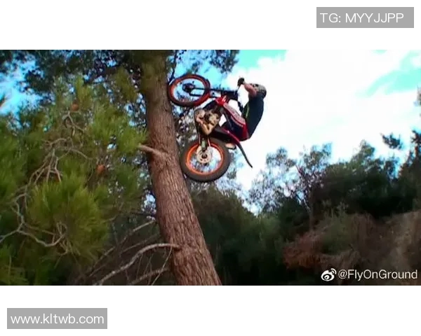 武汉极限运动队的节奏与挑战探索：激情与勇气的碰撞之旅