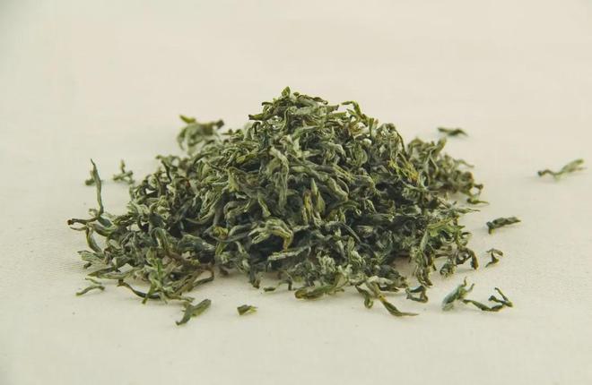 博鱼官方网站北方第一茶：日照绿茶